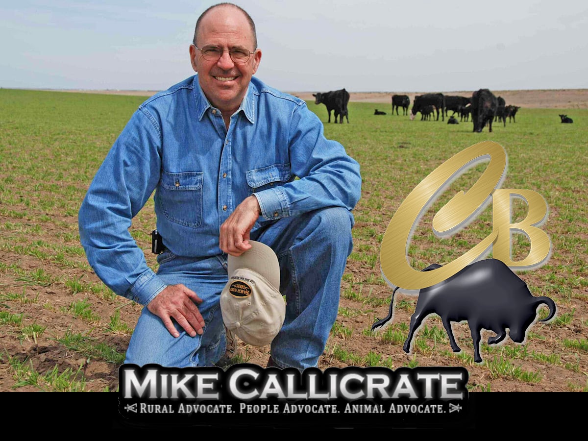 Mike Callicrate